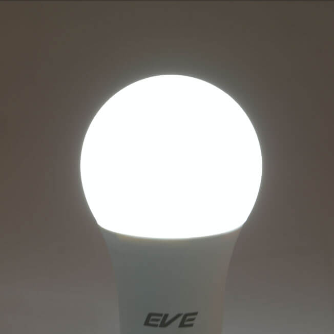 LED Bulb A60 CCT Tunable 9W-04