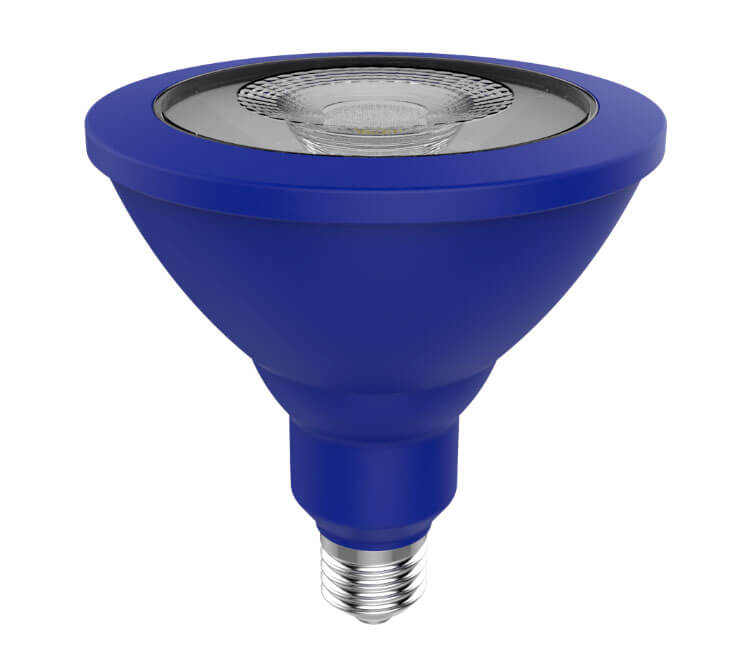 LED PAR 38 Color-8w-eve-06