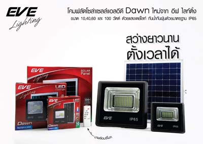 LED Solar Cell Flood Dawn 100W Daylight (Control by remote)-eve-11